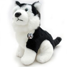 Husky kirima schlittenhund - husky,