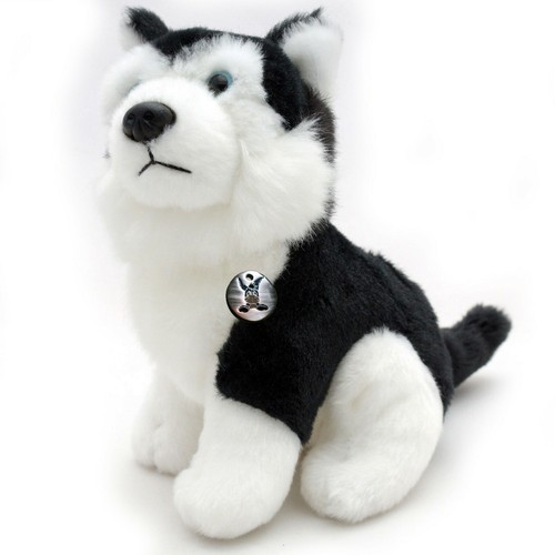 Husky kirima schlittenhund - husky,