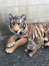 Tiger Mit Babys