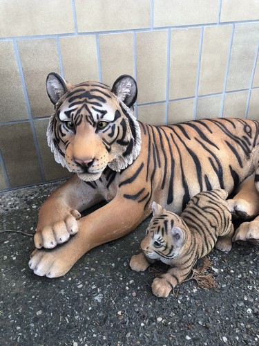 Tiger mit babys - tiger,