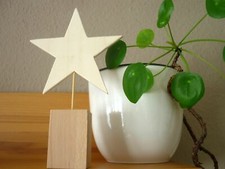 Stern aus Sperrholz Buche