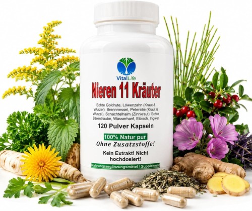 Nieren kräuter 120 kapseln - nieren, 11