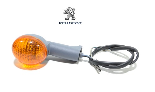 Blinker hinten links - , oder
