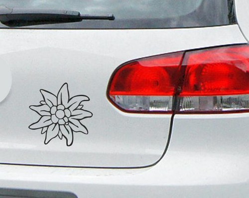 Aufkleber auto tattoo dub jdm - tattoo,