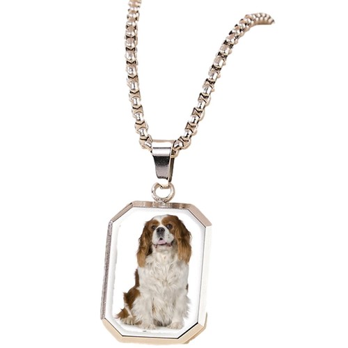 King charles spaniel - king,