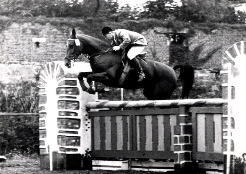 Foto springreiten sprung - foto,