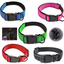 Premium Hundehalsband