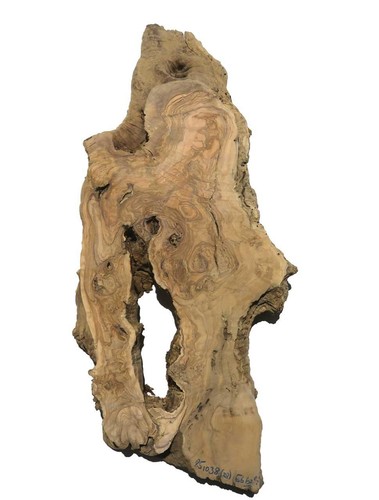 Oliven wurzelholz holz - oliven,