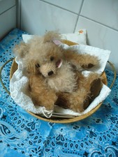 Steiff Teddy Bär 006524