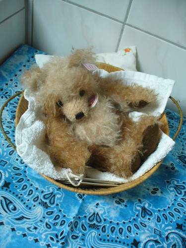 Bärenbaby steiff teddy bär - steiff,