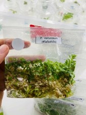 🔥40% Rabatt🔥10