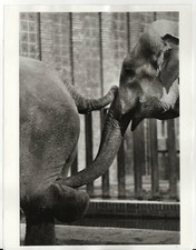 24x18cm photo GDR photographer