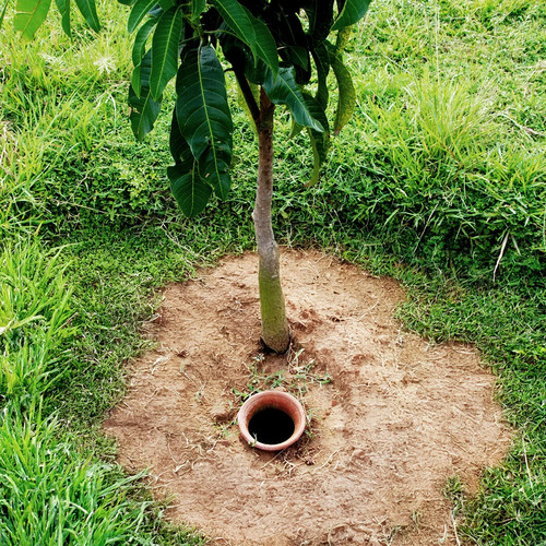 Bewässerungskugel olla - olla, xl