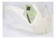 SD-Tec Rennverkleidung