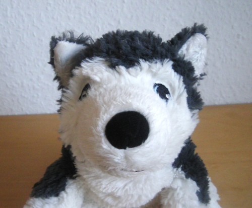 Ikea livlig husky - ikea, hund