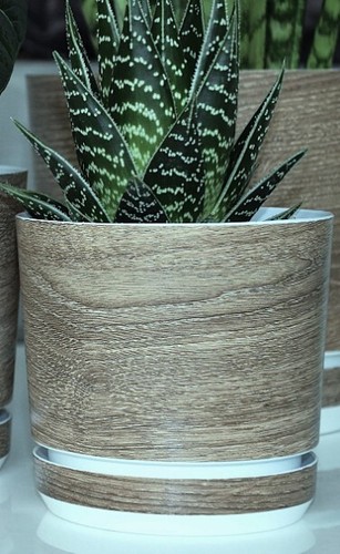 Blumentopf mit untersetzer - blumentopf,