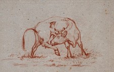 Kuh Tierstudie Tiermalerei