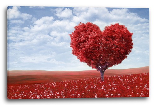 Wandbild roter baum mit - roter,