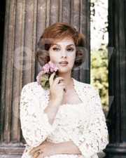 Gina Lollobrigida 10x8 Foto