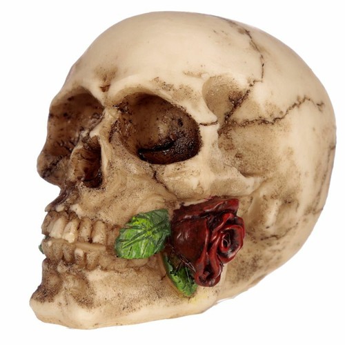Totenkopf mit rose - mit,