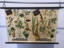 SCHULKARTE LEHRTAFEL LEHRKARTE