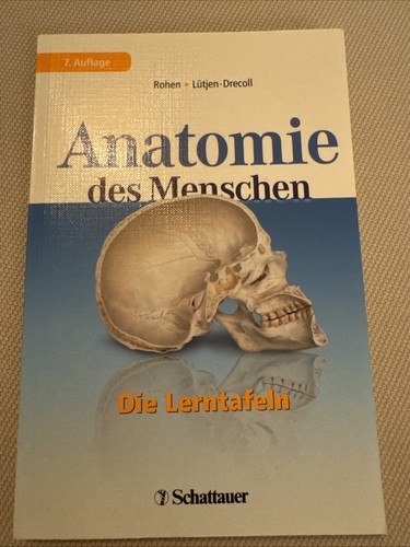 Anatomie des menschen die - anatomie, menschen: