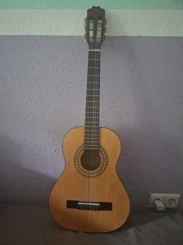 Kirkland saitige - kirkland, 6-saitige