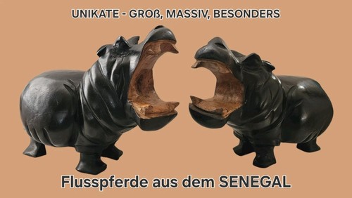 Flusspferde nilpferd afrika - 2,