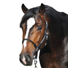 Seil-Halfter "Cavo" mit Strick