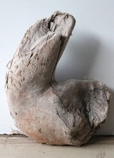Treibholz Schwemmholz
