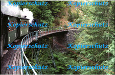 24x36 NEGATIV, ÖGLB Ybbstalbahn Dampflok MOLLN bei Pfaffenschlag=Lunz 92