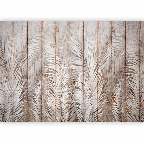 Fototapete palme vlies tapeten - palme,