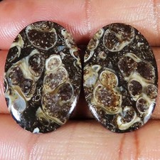 34.10 Cts Natürlich