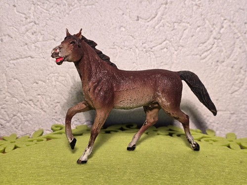Alt pferd masse nicht - pferd,