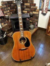 Gibona WG250 Akustikgitarre