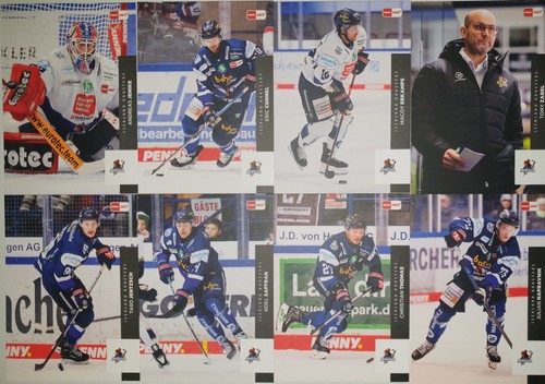 Del playercards 2025 - del,