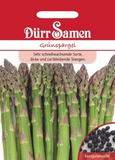 Grünspargel Saatgut von Dürr-Samen