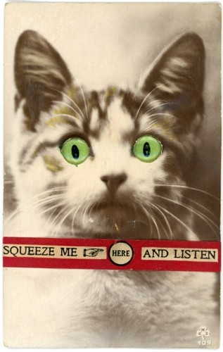 Quietsch katze mit - quietsch,