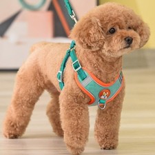 Verstellbares hundegeschirr - verstellbares,