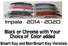 Custom Black OR Chrome Door