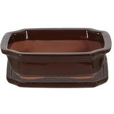 Blumentopf Bonsai Topf Schale