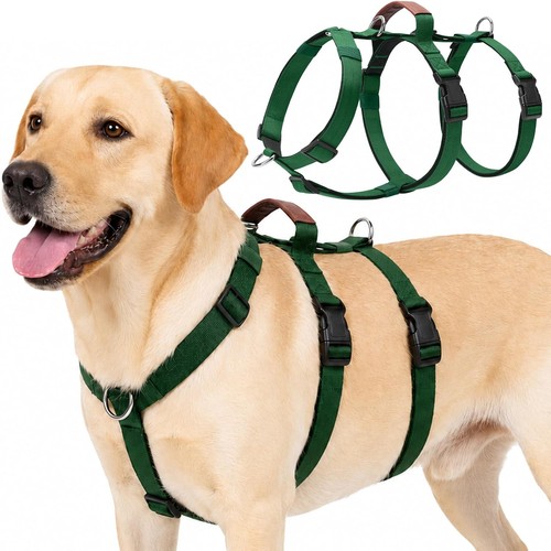 Sicherheitsgeschirr hund - sicherheitsgeschirr,
