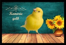 Fußmatte Schmutzfangmatte Ziergeflügel Kanarie gelb F2384