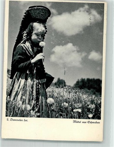 39881484 maedel pusteblume - 39881484,