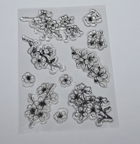 Set transparente - set,