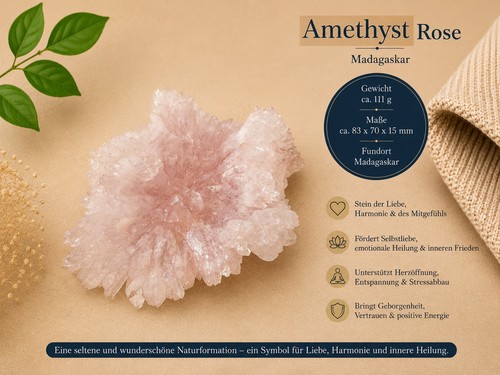 Große seltene amethyst rose - seltene,