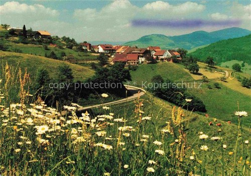 Pfaffenberg zell wiesental - pfaffenberg, im