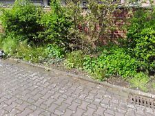 klinkersteine gebraucht ca . 28 m Mauer selber abreißen und da. 1,80 hoch.