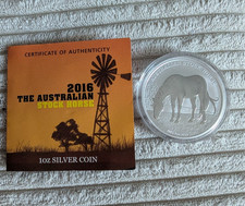 Australian Stock Horse 2016 1