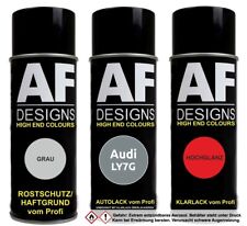 Autolack für Audi LY7G